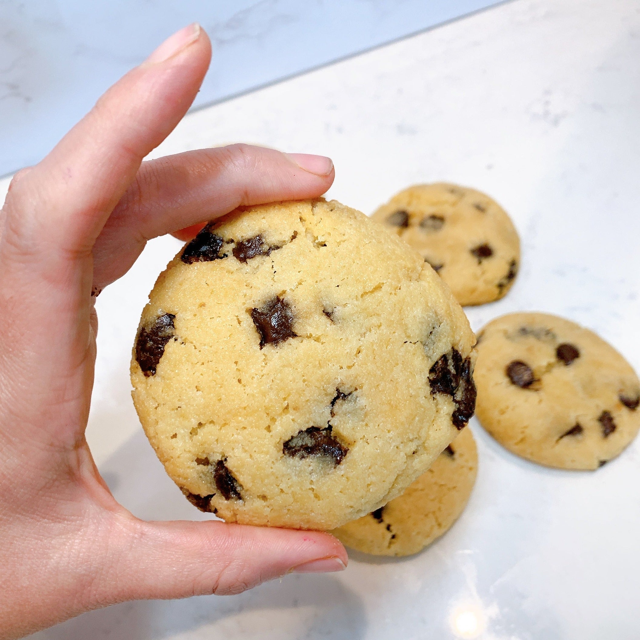 protein chocolate chip cookies - 6 pack, large cookies