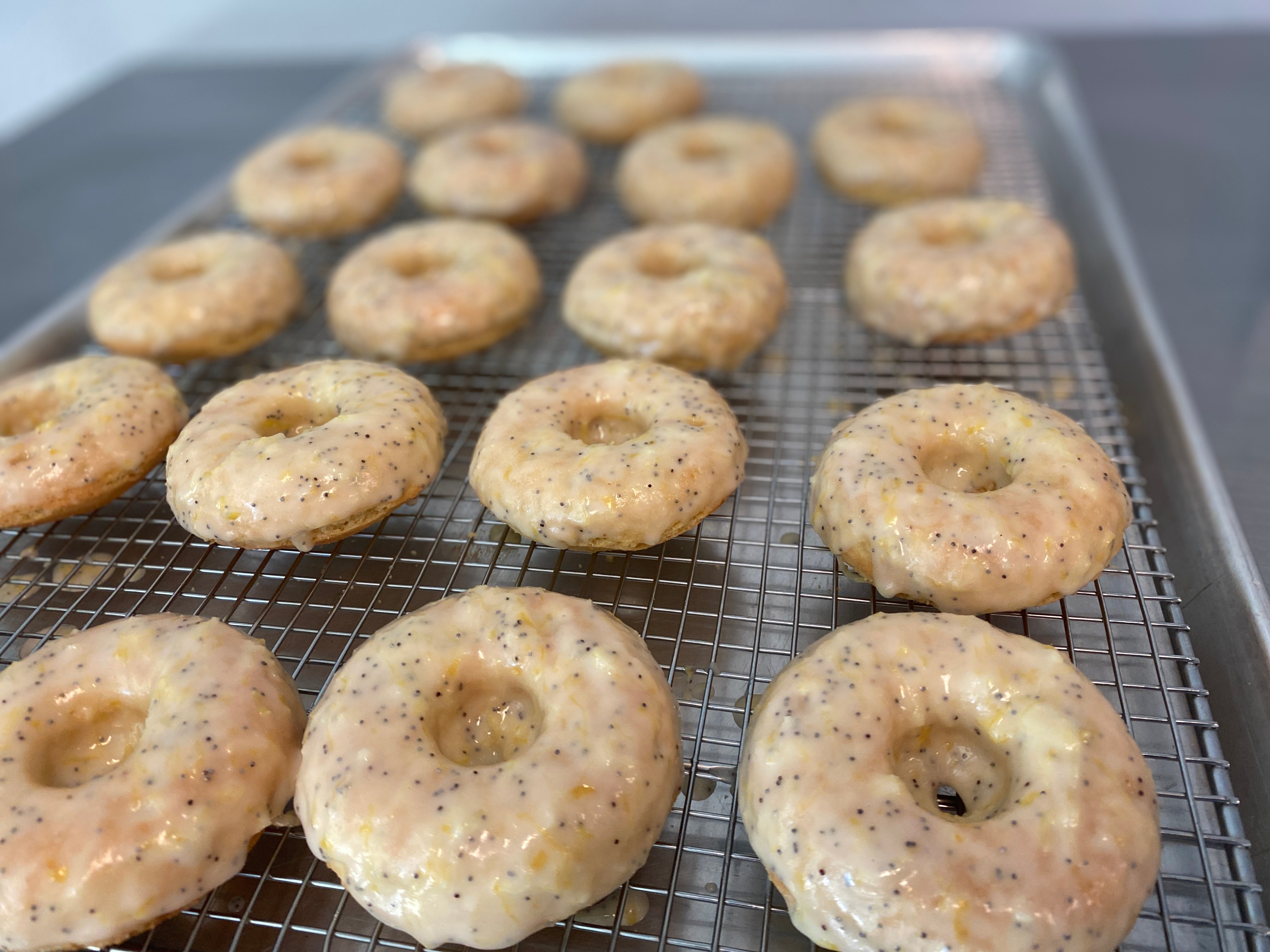 lemon poppy seed donut